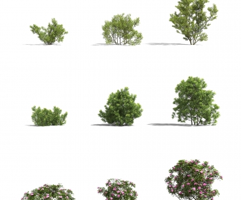 Modern Shrubbery-ID:333429371