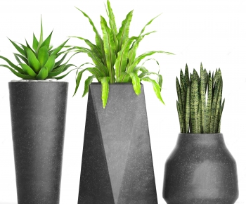 Modern Potted Green Plant-ID:556864727