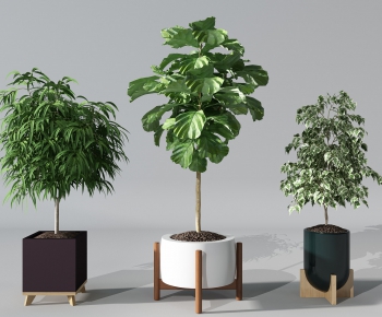 Modern Potted Green Plant-ID:697017275