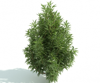 Modern Shrubbery-ID:462597439