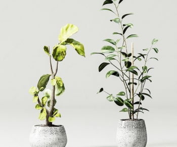 Modern Potted Green Plant-ID:366840852