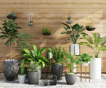 Modern Potted Green Plant-ID:813580546
