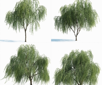 Modern Tree-ID:299772692