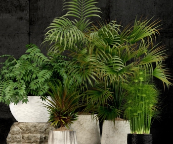 Modern Potted Green Plant-ID:116103273