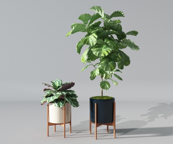 Modern Potted Green Plant-ID:556992478