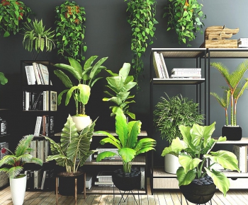 Modern Potted Green Plant-ID:122849585