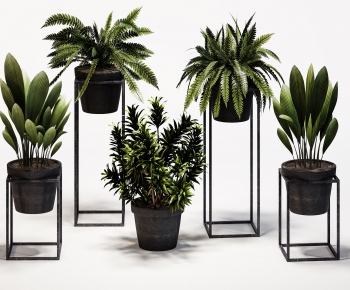 Modern Potted Green Plant-ID:767299257