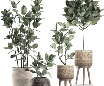 Modern Potted Green Plant-ID:513445691