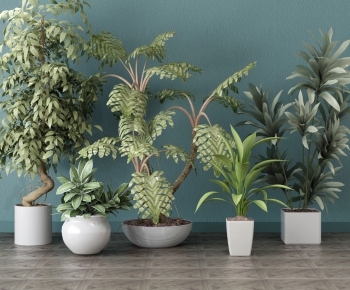 Modern Potted Green Plant-ID:988467338