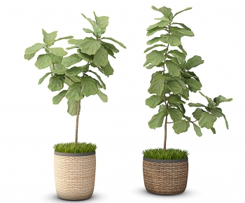 Modern Potted Green Plant-ID:904444128