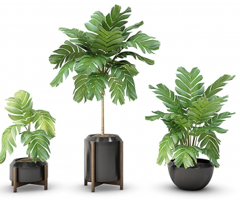 Modern Potted Green Plant-ID:354391483