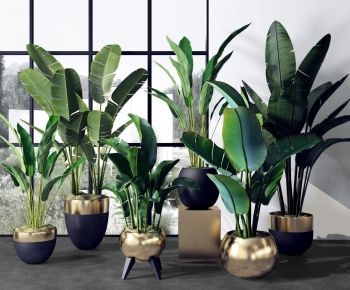 Modern Potted Green Plant-ID:575892568