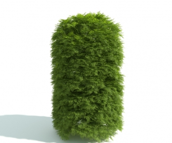 Modern Shrubbery-ID:753257797