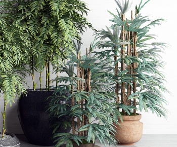 Modern Potted Green Plant-ID:812919364