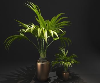 Modern Plant-ID:395785852