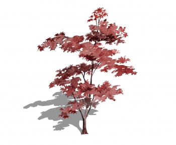 Modern Tree-ID:139852111