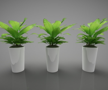 Modern Potted Green Plant-ID:977748731