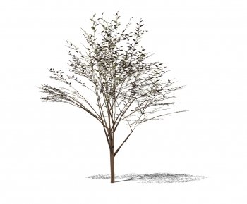 Modern Tree-ID:586017136
