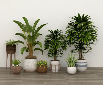 Modern Potted Green Plant-ID:722032346