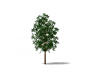 Modern Tree-ID:974567243