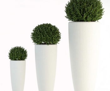 Modern Potted Green Plant-ID:363113628