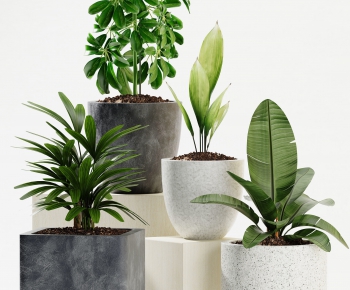 Modern Potted Green Plant-ID:652018916