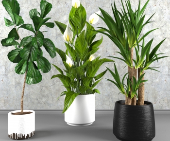 Modern Potted Green Plant-ID:221679417