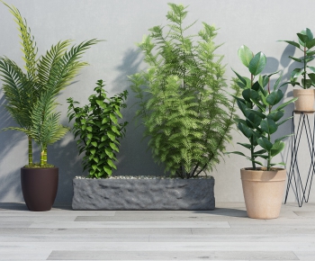 Modern Potted Green Plant-ID:440271357