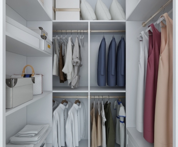 Modern Clothes Storage Area-ID:398870543