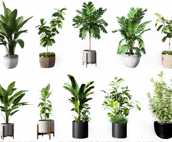 Modern Potted Green Plant-ID:860658362