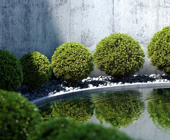 Modern Shrubbery-ID:851259344