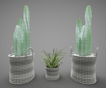 Modern Potted Green Plant-ID:972899764