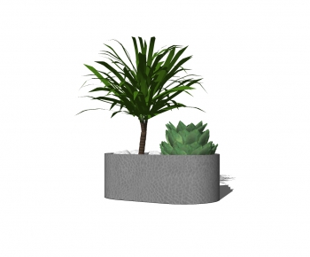Modern Potted Green Plant-ID:664171231