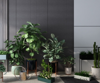 Modern Potted Green Plant-ID:294407474