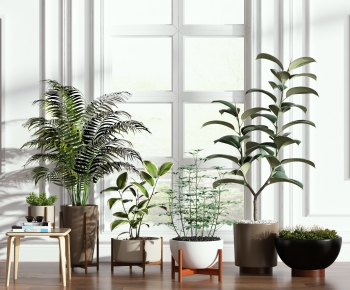 Modern Potted Green Plant-ID:411118674