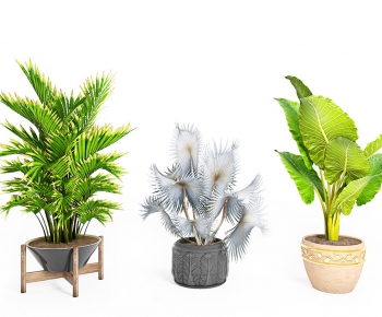 Modern Potted Green Plant-ID:684427253