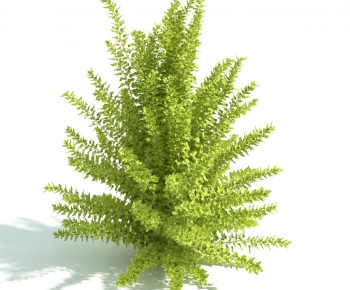 Modern Shrubbery-ID:685285311