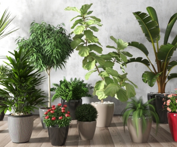 Modern Potted Green Plant-ID:326119416
