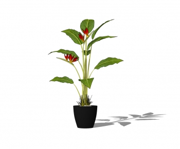 Modern Potted Green Plant-ID:947935683