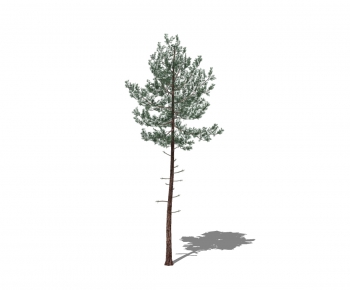 Modern Tree-ID:167966618