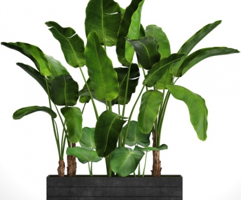 Modern Potted Green Plant-ID:493294571