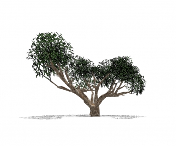 Modern Tree-ID:453025963