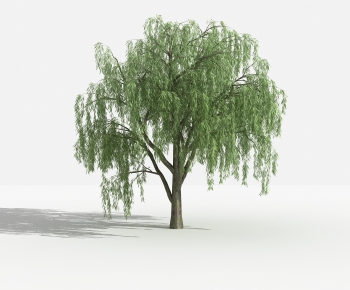 Modern Tree-ID:691832659