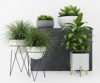 Modern Potted Green Plant-ID:338396524
