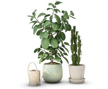 Modern Potted Green Plant-ID:883580548