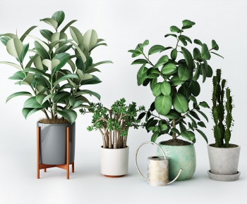 Modern Potted Green Plant-ID:949309782