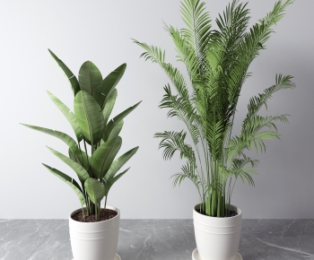 Modern Potted Green Plant-ID:337000626
