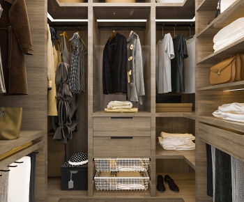 Modern Clothes Storage Area-ID:967902191