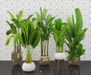 Modern Potted Green Plant-ID:540234968