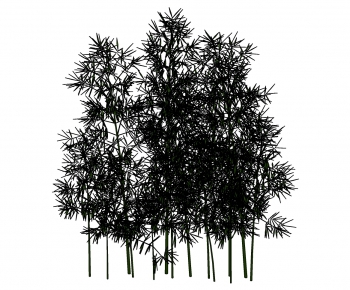 Modern Bamboo-ID:848718513